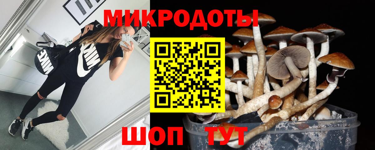 Коммунар  Галлюциногенные грибы Psilocybine cubensis  Вход с VPN 